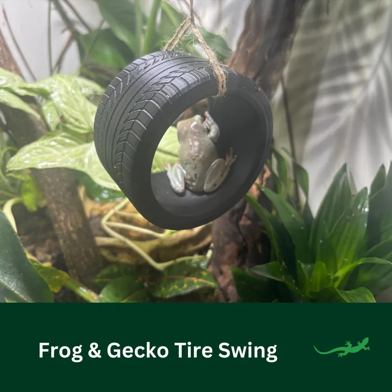 Frog & Gecko Tire Swing