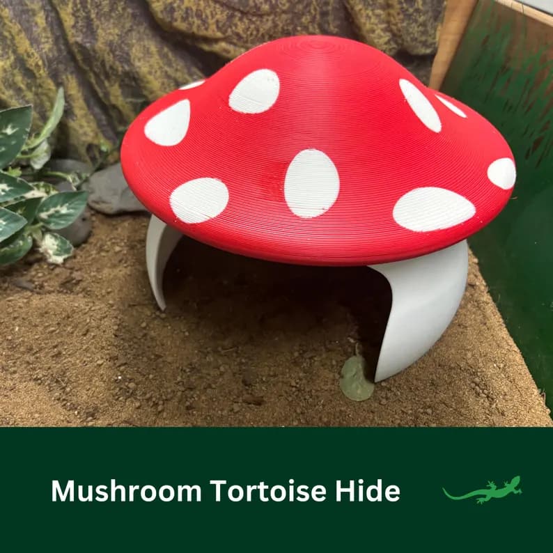 Mushroom Tortoise Hide