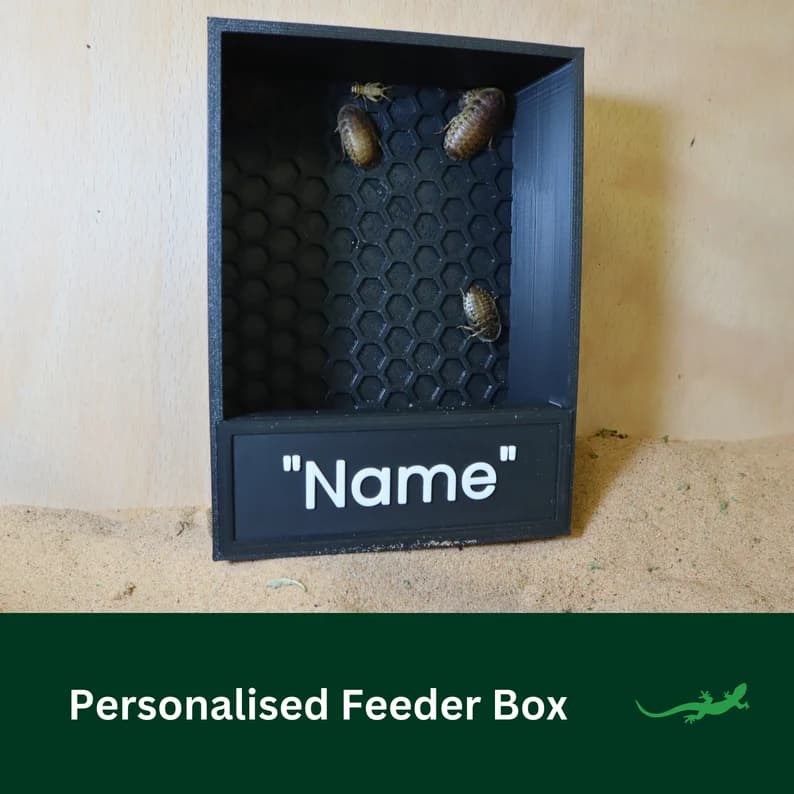 Personalised Feeder Box