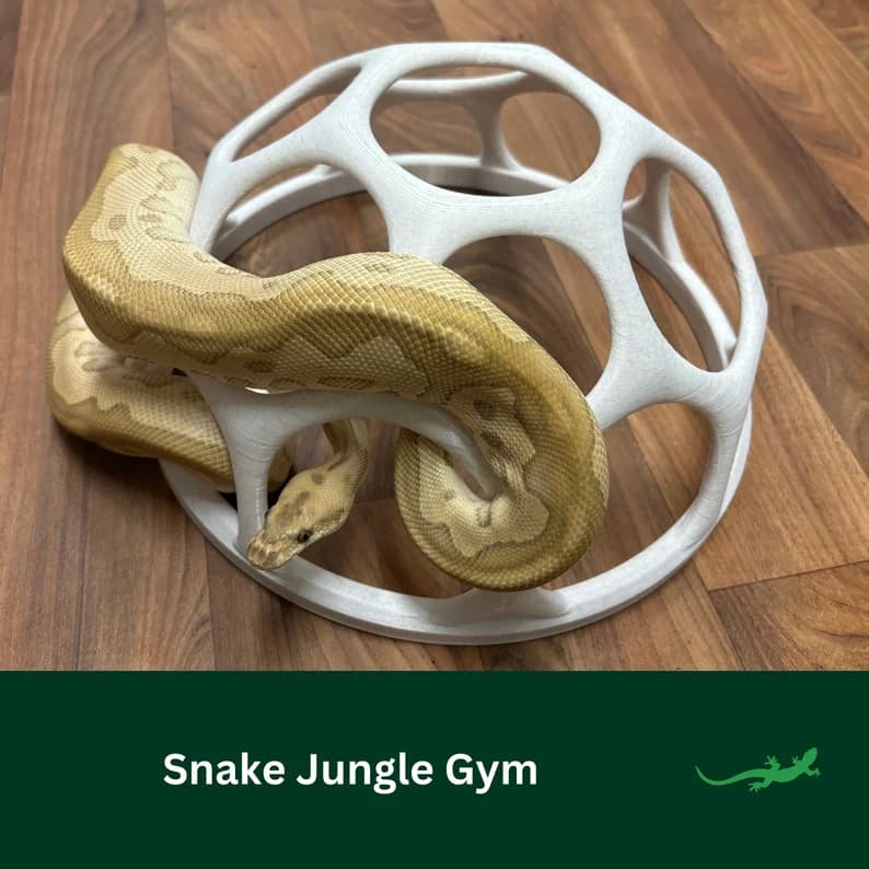 Snake Jungle Gym